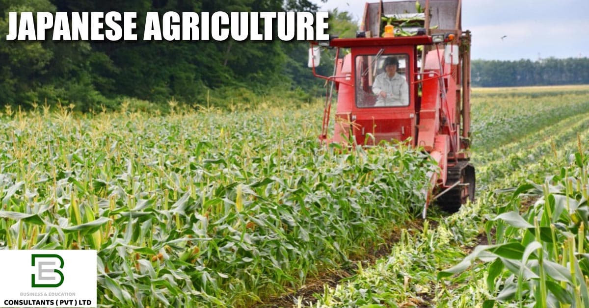 Japanese Agriculture & High-Tech Farming