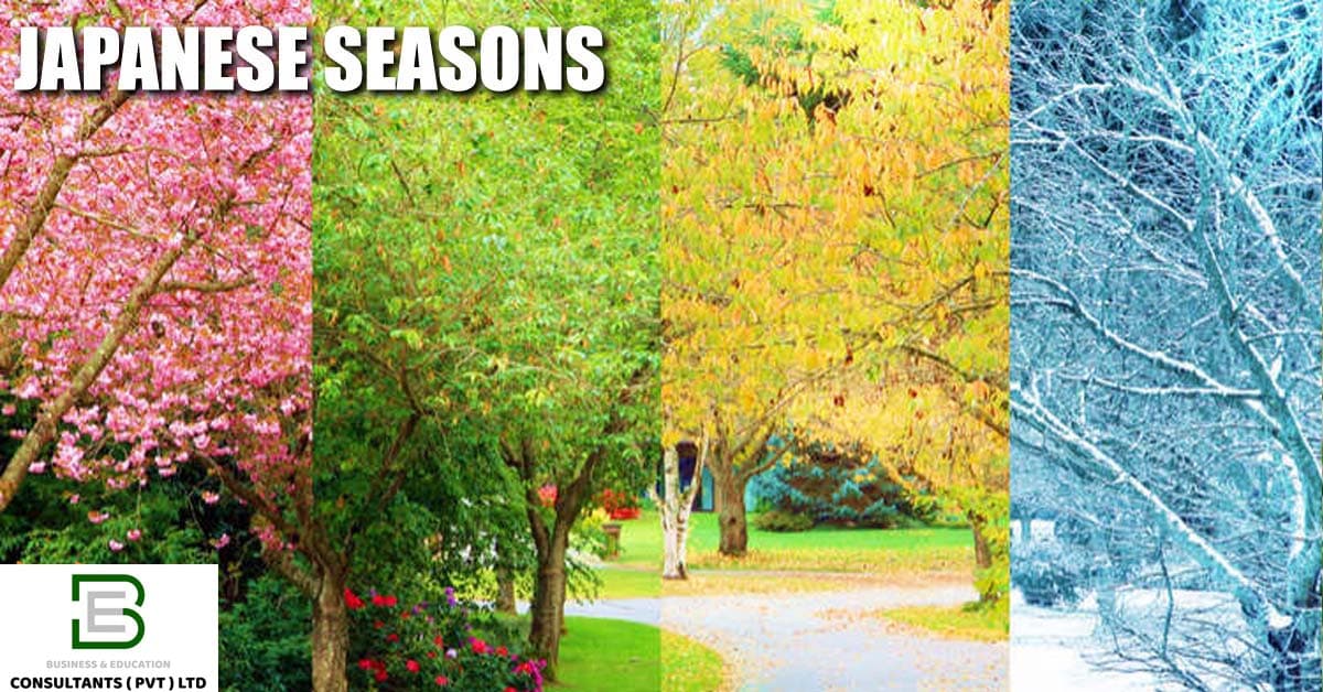 Japanese Climate & Four Seasons Guide